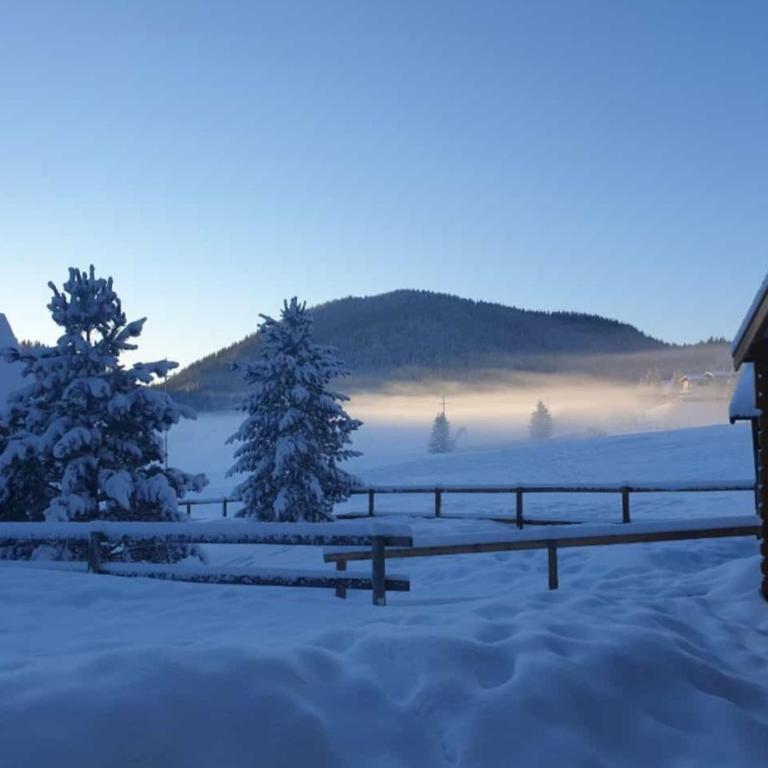 Almhaus Kärnten Flattnitz - Ferienhaus - 37