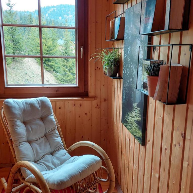 Almhaus Kärnten Flattnitz - Ferienhaus - 26