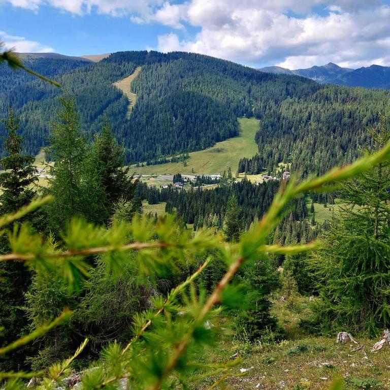Almhaus Kärnten Flattnitz - Ferienhaus - 27