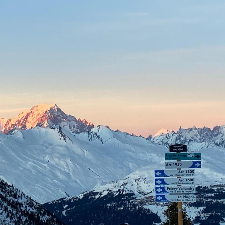ALPS les ARCS 1950 Prince des Cimes, ski-in out,swimming pool, sauna, shoes dryer - Appartement 1 Chambre - 26