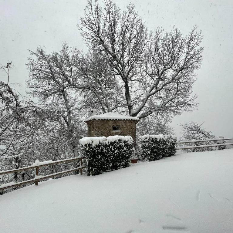 Villa dei Roveri - Appartamento con 1 Camera da Letto - 16