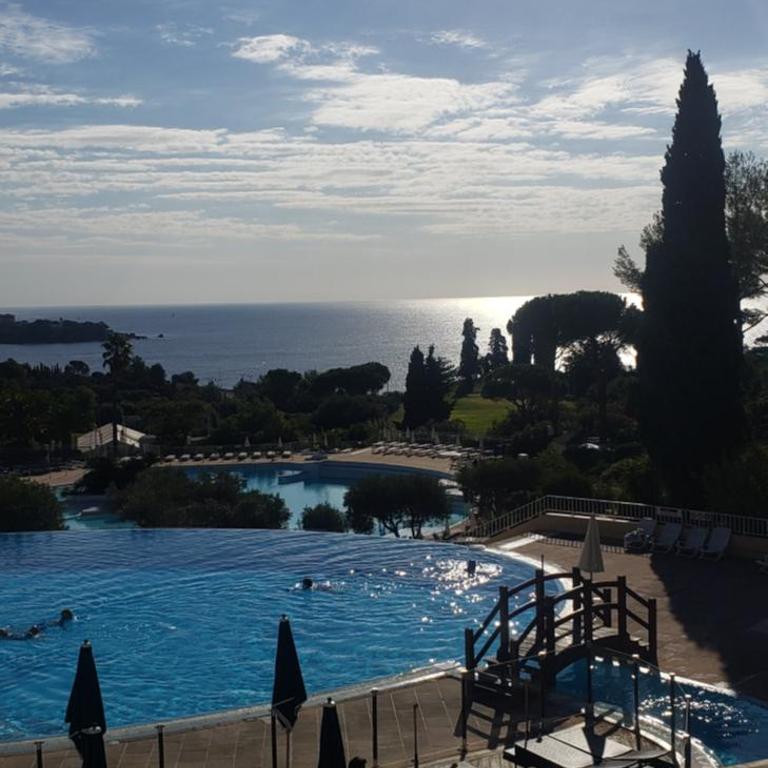Vacances en paradis - Appartement 1 Chambre - 17
