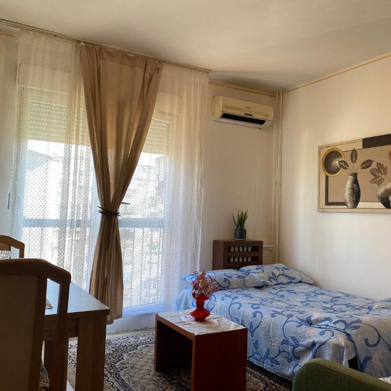 Apartment Dorcol Belgrade - Studio Apartman - 4