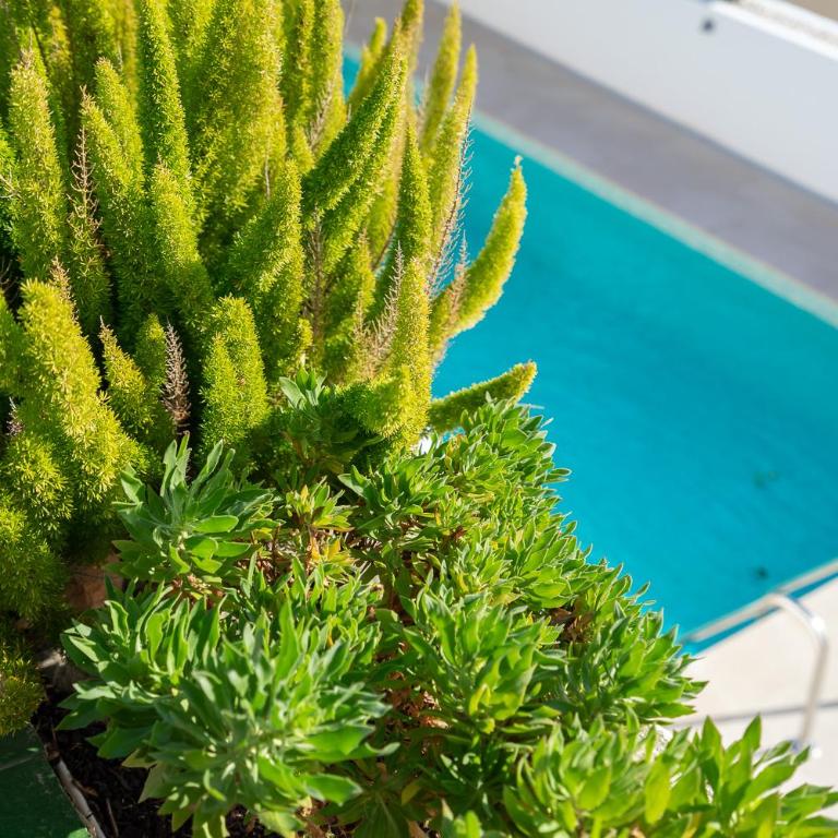 Stunning Seaview Villa by Costarentals - Ref 110 - Villa - 52