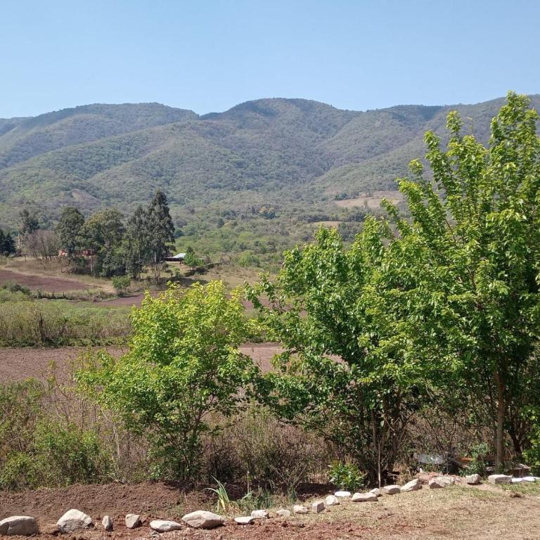 Aguaribay cabañas - Two-Bedroom House - 12