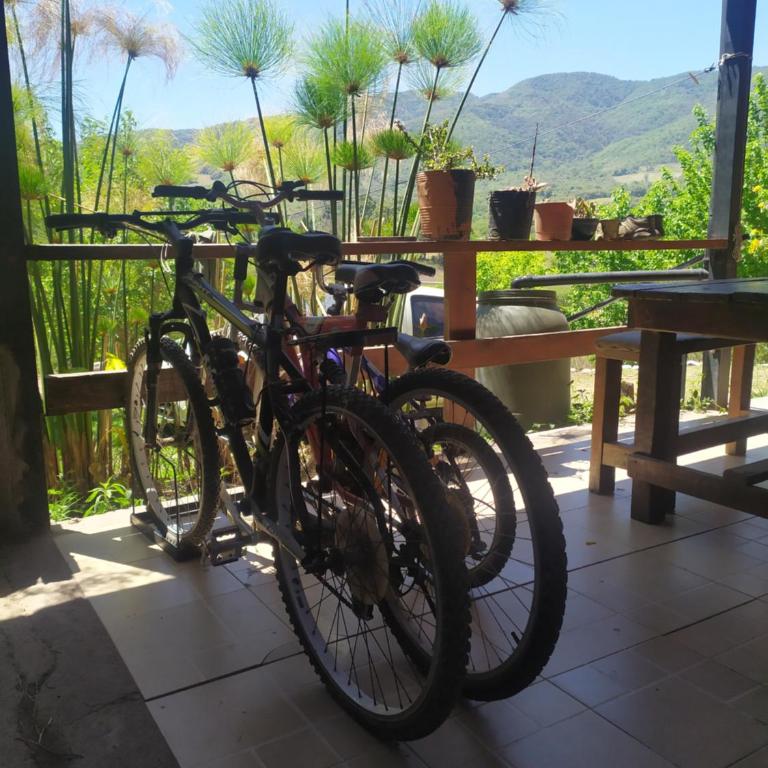 Aguaribay cabañas - Two-Bedroom House - 14