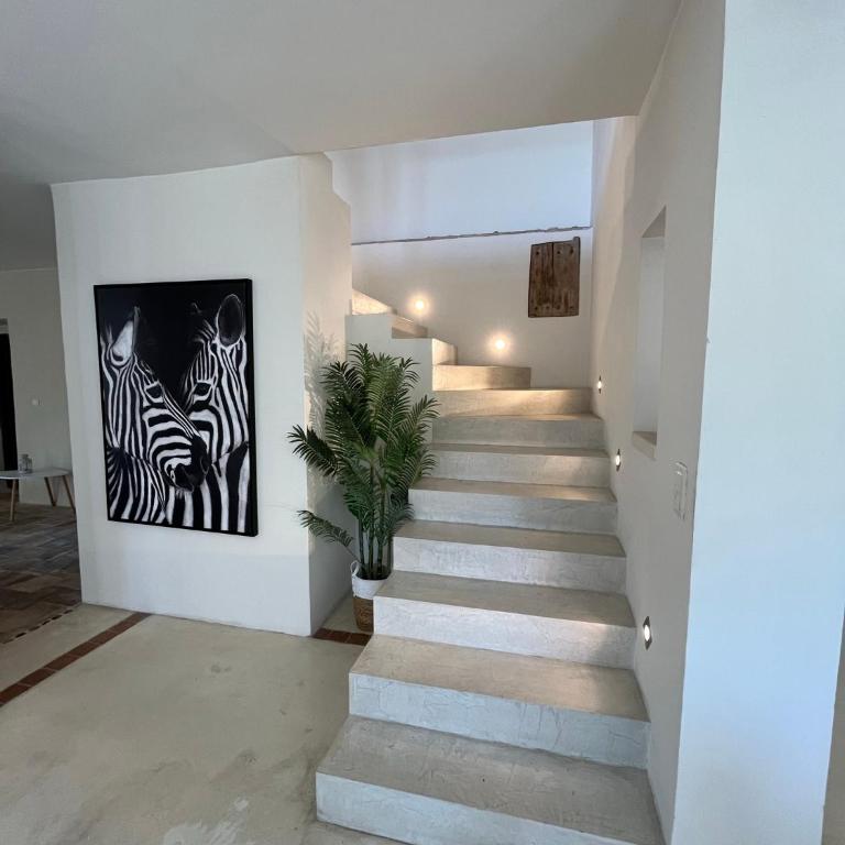 Mas Arietis - Villa avec Piscine Privée - 26