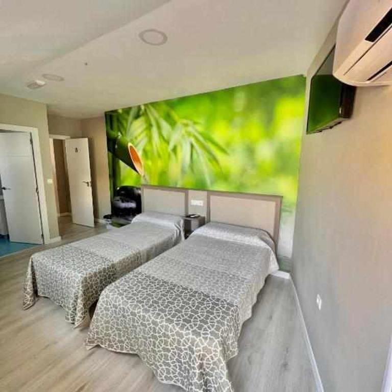 Hostal Viena Plaza Nueva - Twin Room - 8