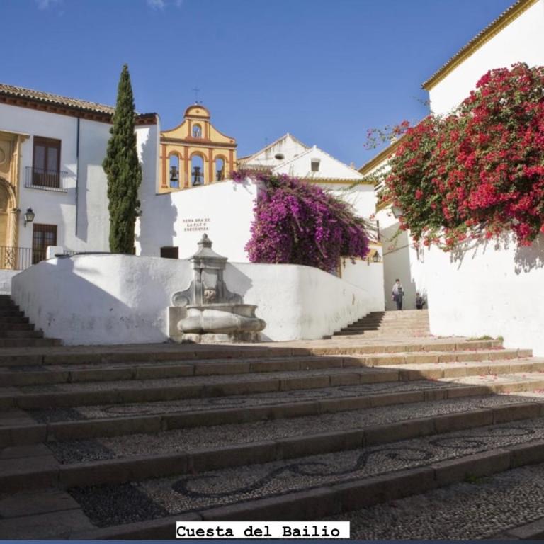 Apartamento Obispo Fitero - One-Bedroom Apartment - 18