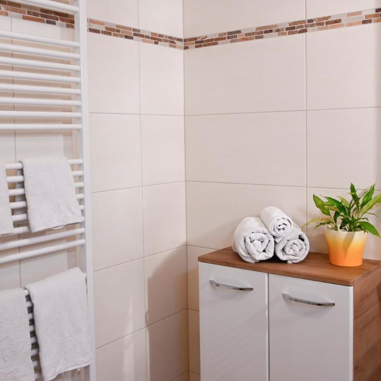 Ferienwohnung Dichtlbauer - Apartment with Balcony - 11