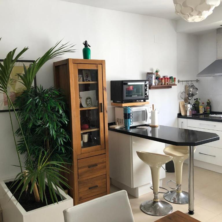 ABA Tropical & ABA Suite - Apartamento de 2 dormitorios - 15