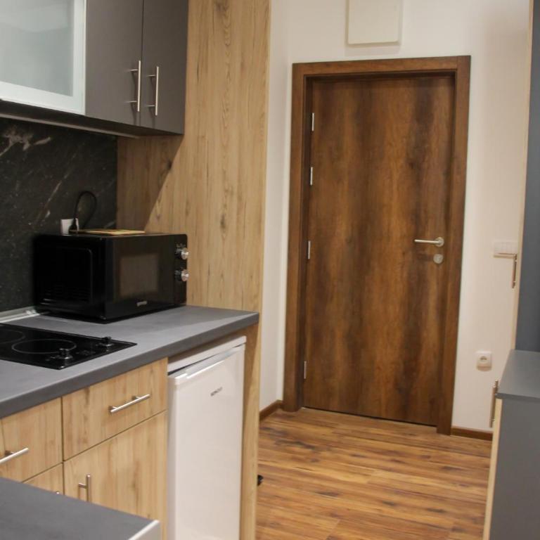 Aparmani Sorak Kopaonik, Studio Apartman A5 - Studio Apartman - 5