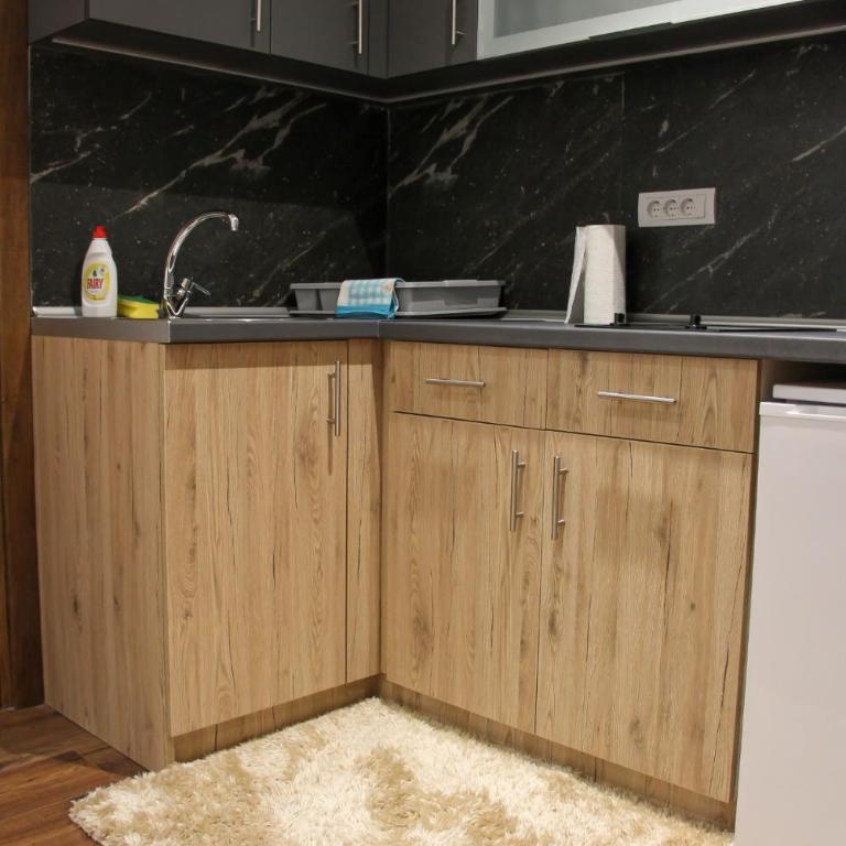 Aparmani Sorak Kopaonik, Studio Apartman A5 - Studio Apartman - 8