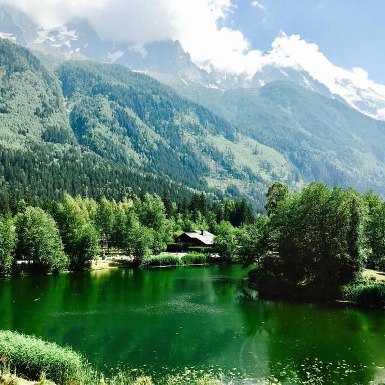 Modern 2BR 5* pool gym spa garage Mont-Blanc view - Apartment mit 2 Schlafzimmern - 25