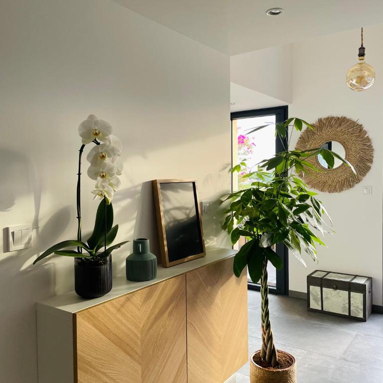 Spa & vue Mer - Les Ô de Bandol - Appartement 2 Chambres - 14