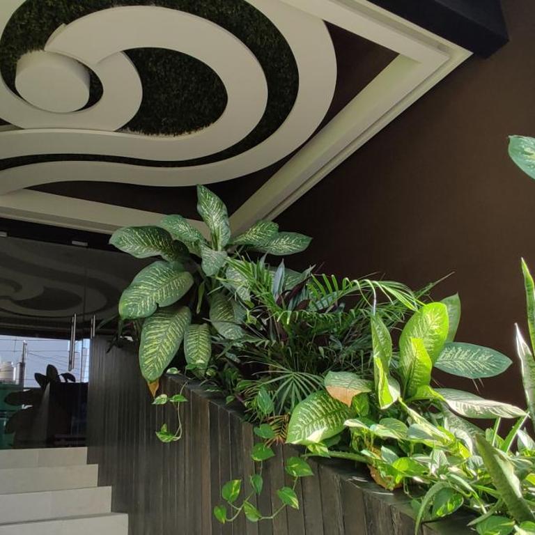 Menesse mitdtown2 , AVE 25TH - Apartamento con vistas al mar - 2