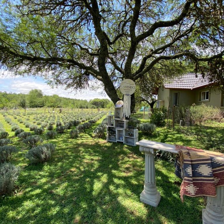 Die Lavendel Chalet - Casa de 2 dormitorios - 22