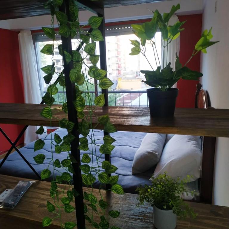 Hermoso depto en el centro de Mar del Plata - One-Bedroom Apartment - 18