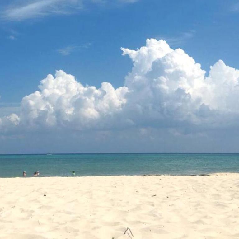 Playa del Carmen Downtown Studio with Rooftop Pool - Walk to 5th Ave & the Beach - Estudio con cama extragrande y sofá cama - 50