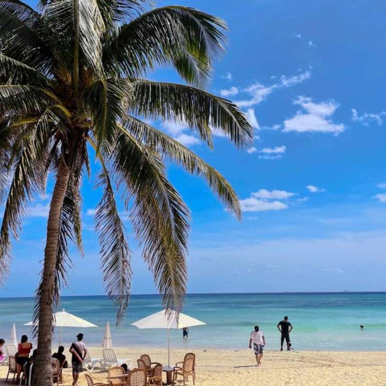 Playa del Carmen Downtown Studio with Rooftop Pool - Walk to 5th Ave & the Beach - Estudio con cama extragrande y sofá cama - 86