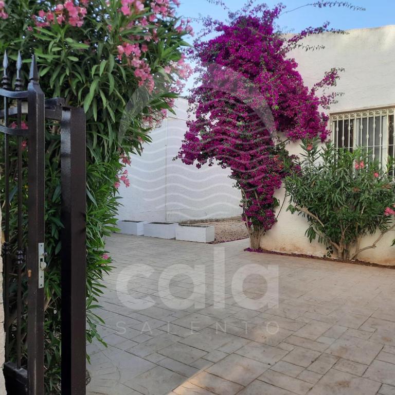 Villa Teresa - giardino privato By Cala Salento - Villa con 3 Camere da Letto - 42