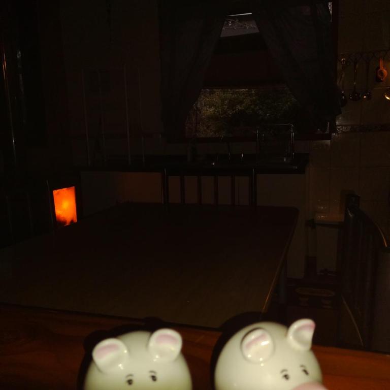 Complejo Cabañas Pétalos - Bungalow (3 adultos) - 7