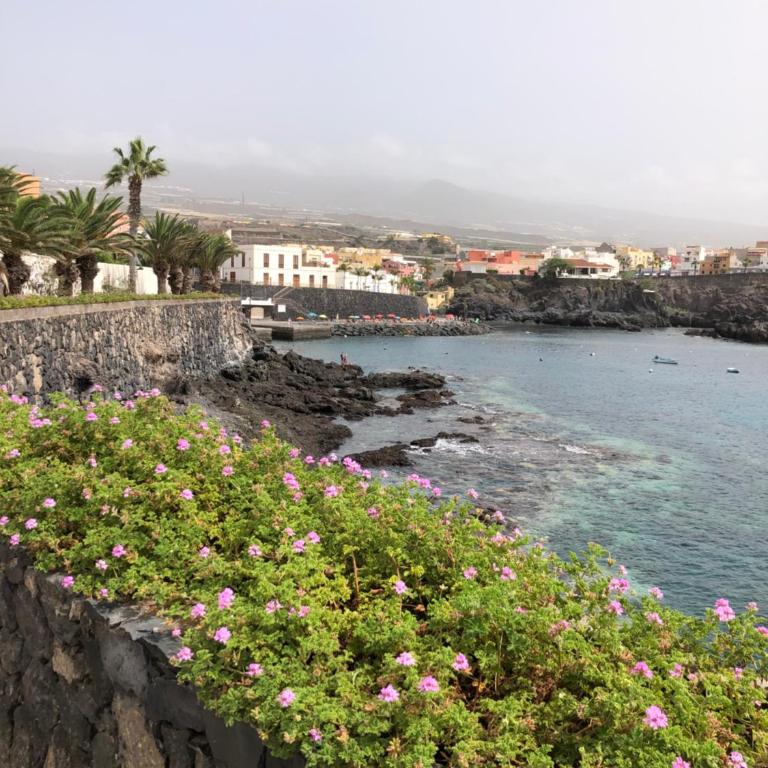 Rocas del Mar with heated Pool and double Terrace - Apartamento de 1 dormitorio - 33