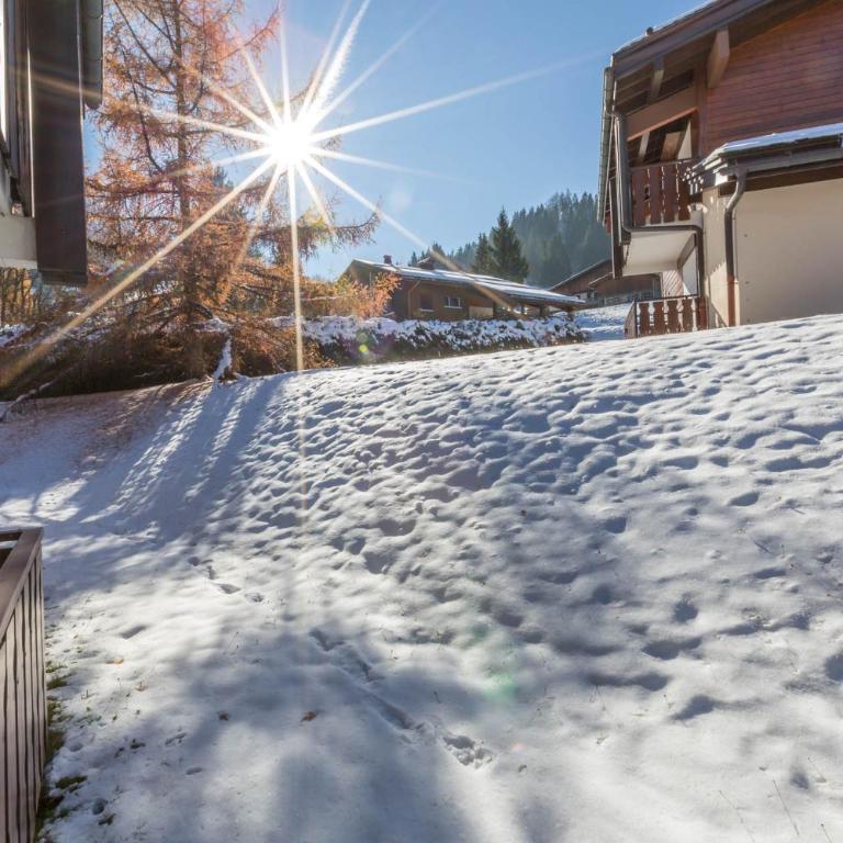 Cotagnes 1 - Appartement proche pistes - Monolocale con Vista Giardino - 4