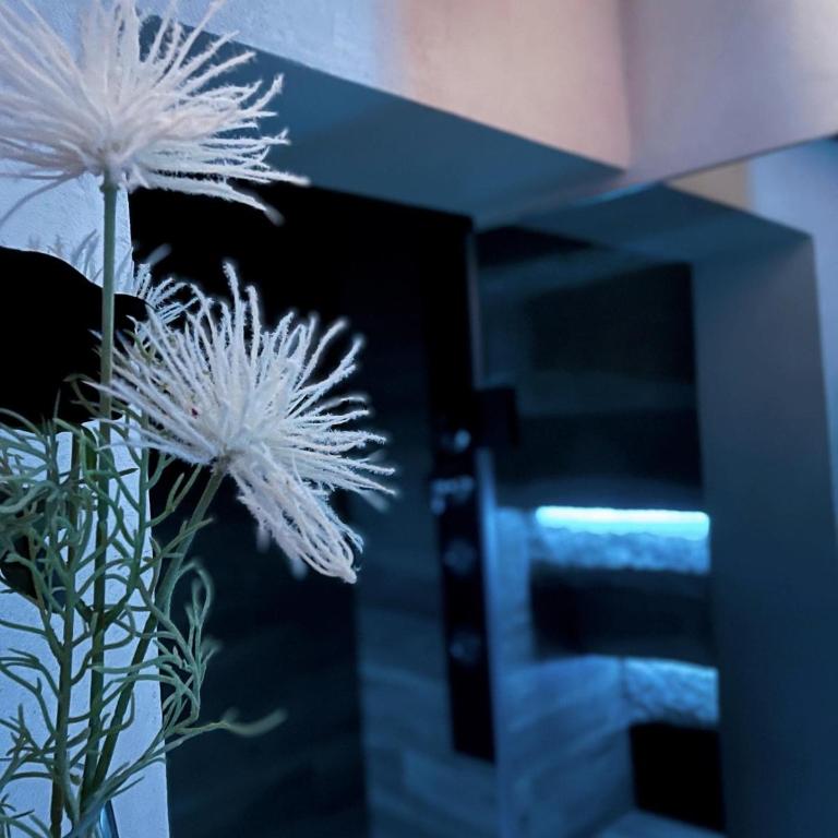 Angel suite - Appartamento con 1 Camera da Letto - 87