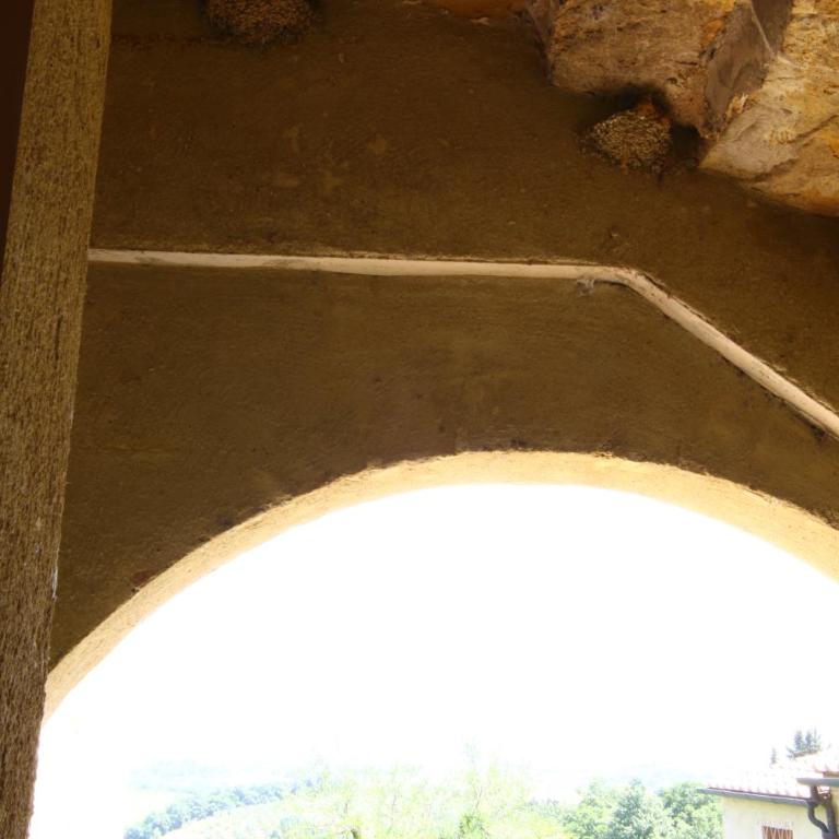 Podere Il Pino - Appartamento con 1 Camera da Letto (4 Adulti) - 5