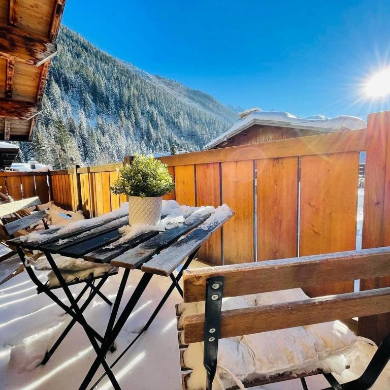 Chalet le petit Nicolas, jacuzzi, vue Mont Blanc - Chalet - 18