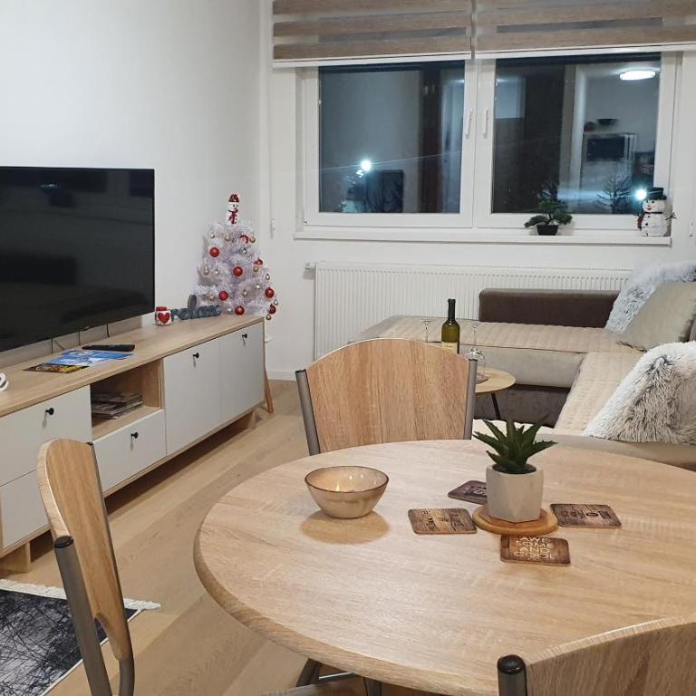 Apartmani Jahorina Olimpijska kuca - Apartment with Mountain View - 19