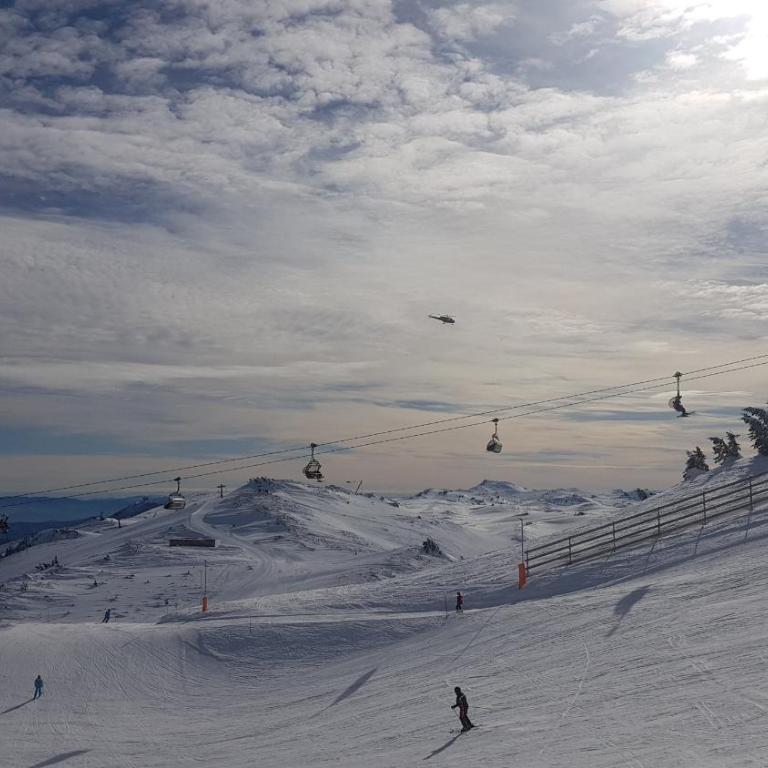 Apartmani Jahorina Olimpijska kuca - Apartment with Mountain View - 12