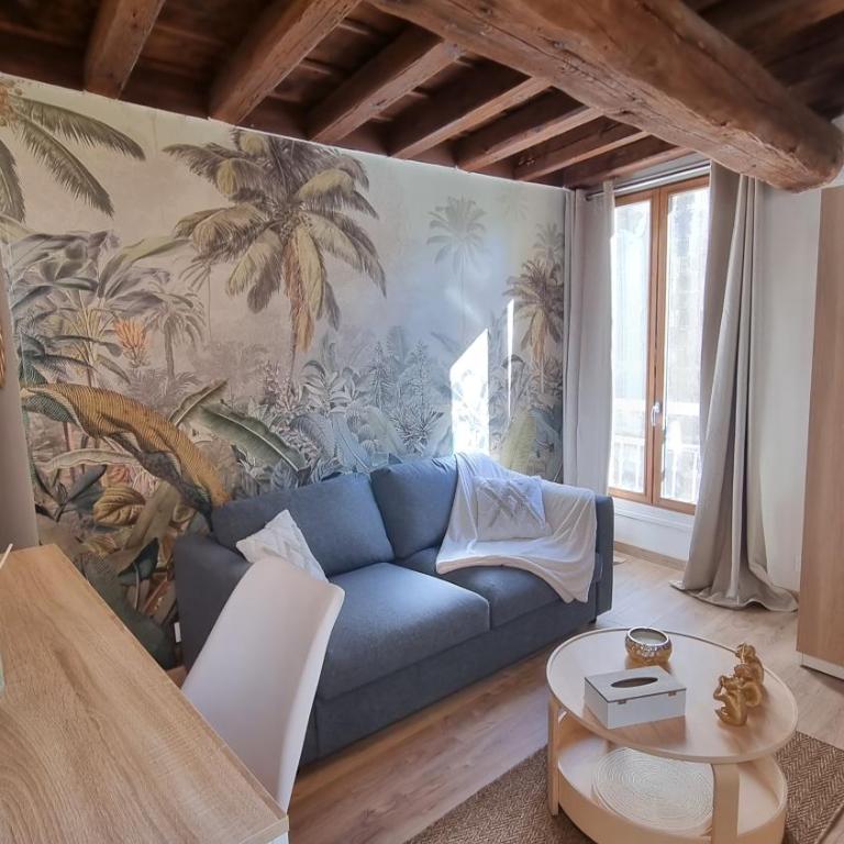 Studio avec beaucoup de Charme intra muros - One-Bedroom Apartment - 11