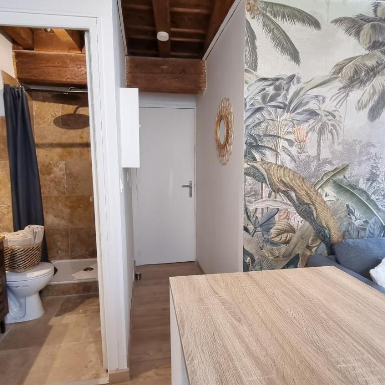Studio avec beaucoup de Charme intra muros - One-Bedroom Apartment - 7