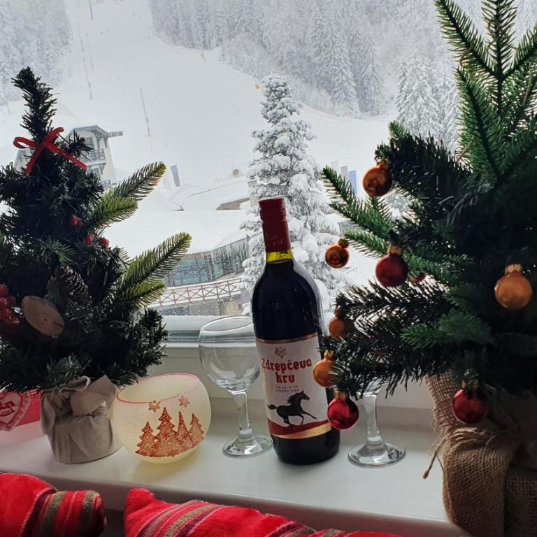 Apartmani Jahorina Olimpijska kuca - Apartment with Mountain View - 11