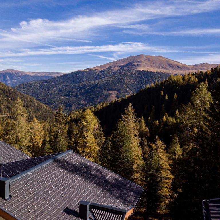 Turrach Lodges by ALPS RESORTS - Ferienhaus mit 3 Schlafzimmern und Sauna - 8