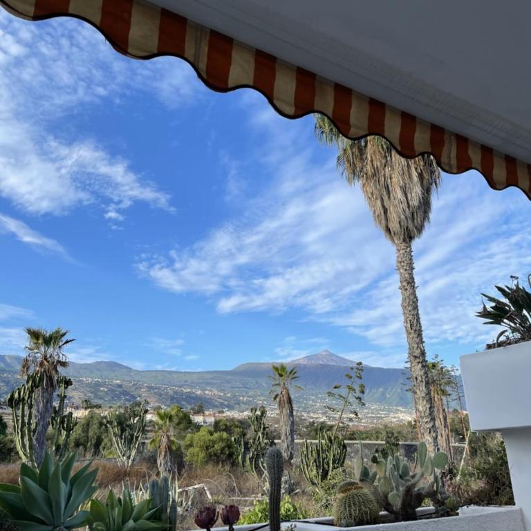 El Tajinaste III - Apartamento de 1 dormitorio - 3