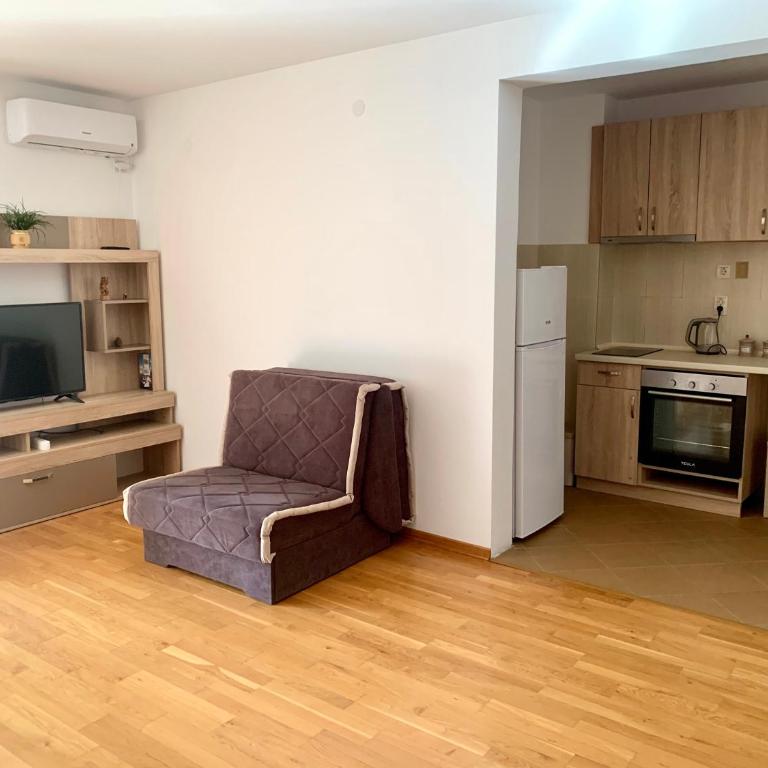Sunday Apartment Petrovac - One-Bedroom Apartment - 12