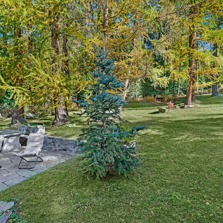 Chesa Alvan - Surlej - Casa - 27