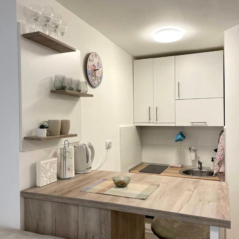 Alma Vracar - Apartman sa 1 Spavaćom Sobom - 48