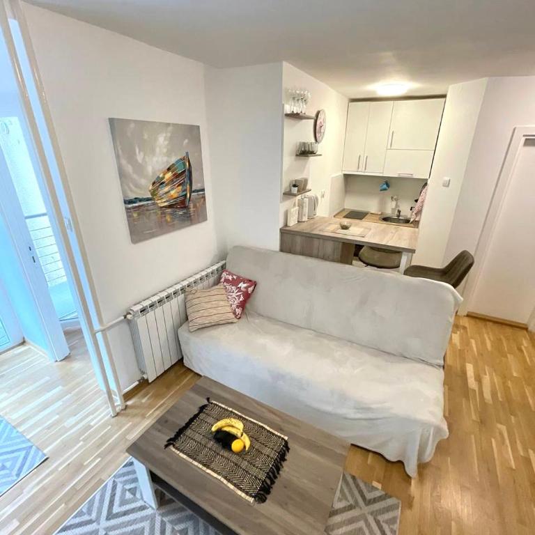 Alma Vracar - Apartman sa 1 Spavaćom Sobom - 37