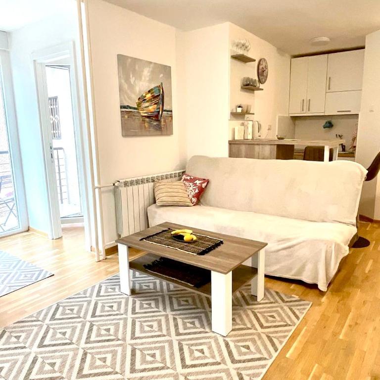 Alma Vracar - Apartman sa 1 Spavaćom Sobom - 47