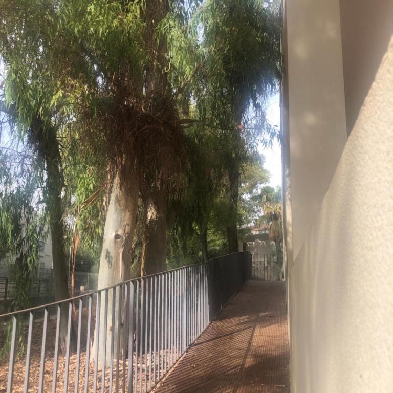 Apartamento Catalina San José - Apartamento de 2 dormitorios - 23