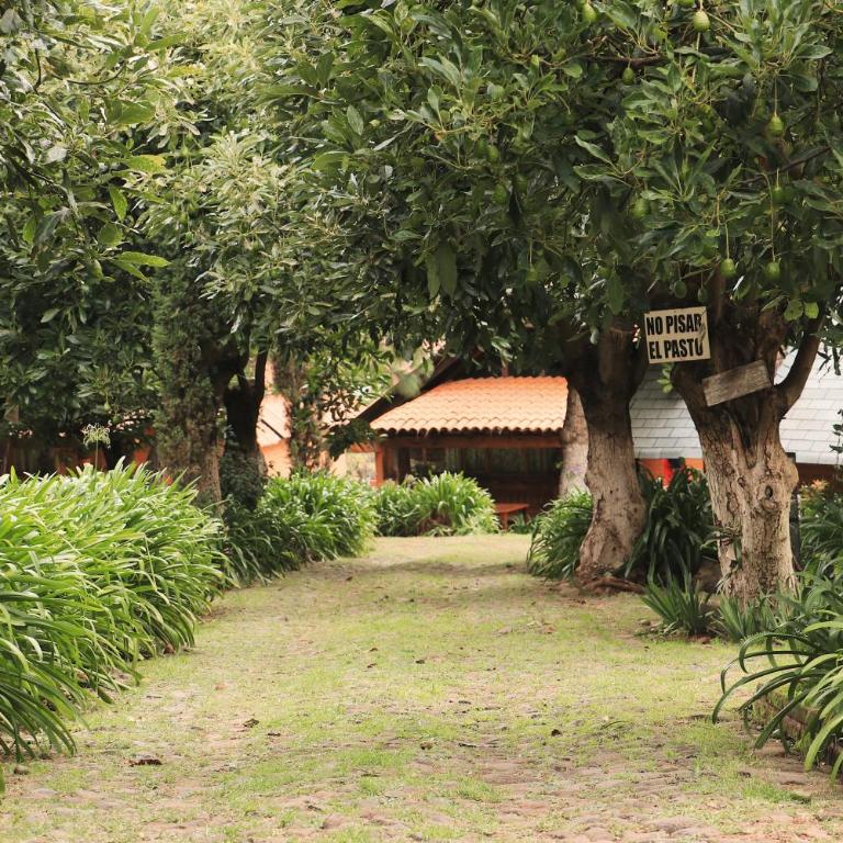 La Huerta - Chalet (2 adultos) - 17