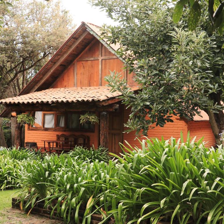 La Huerta - Chalet (2 adultos) - 18
