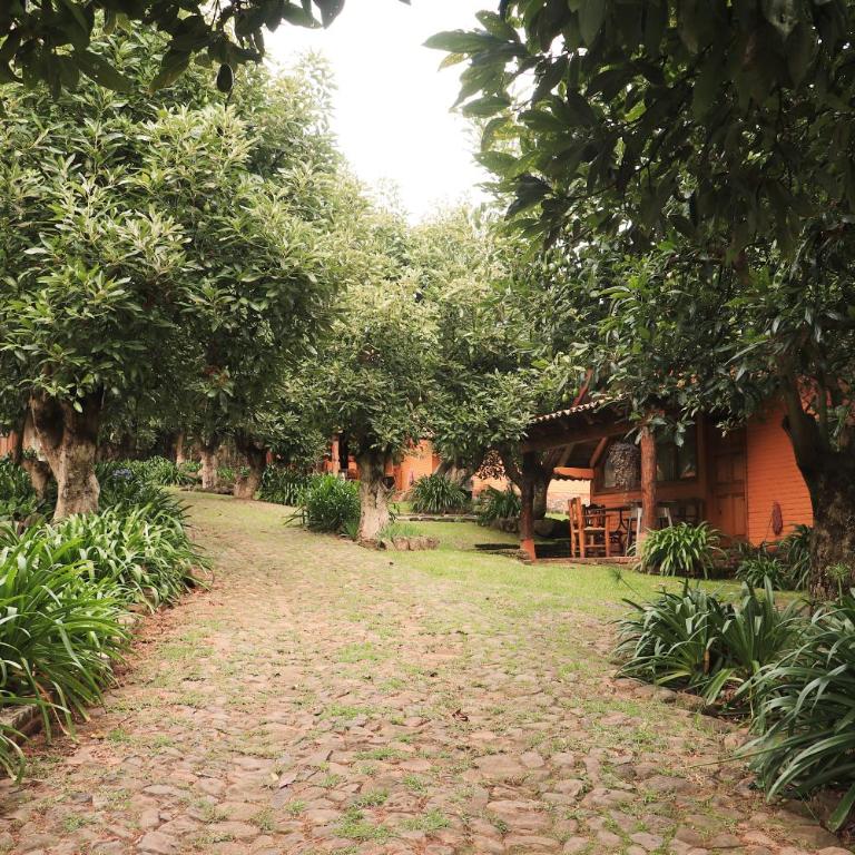 La Huerta - Chalet (2 adultos) - 19
