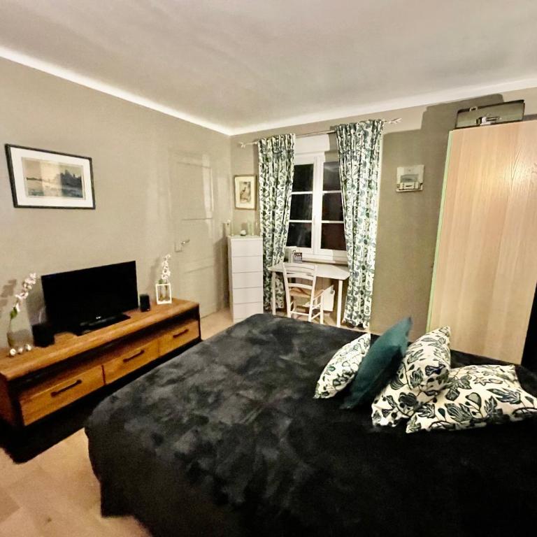 Grande maison Saint Malo avec cheminée et jardin - Villa - Vue sur Jardin - 19