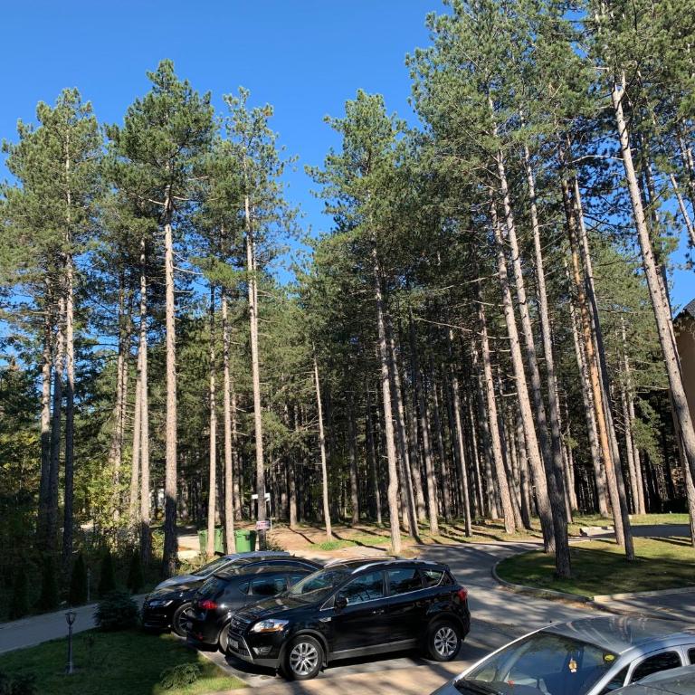 Apartman LUX STELLA - Apartman sa 1 Spavaćom Sobom - 77