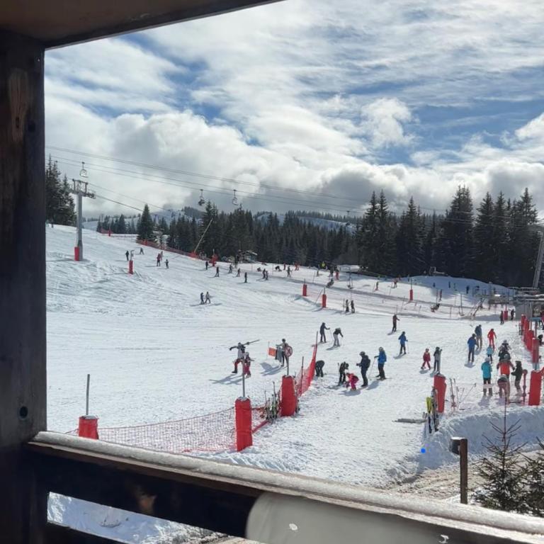 Grand Studio aux pieds des pistes sans vis à vis - Appartamento con 1 Camera da Letto - 2